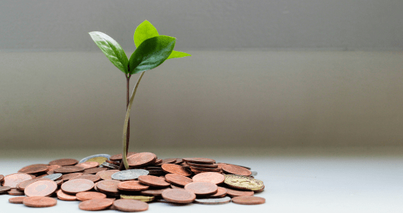 Image of a plant growing from coins to demonstrate lead generation.