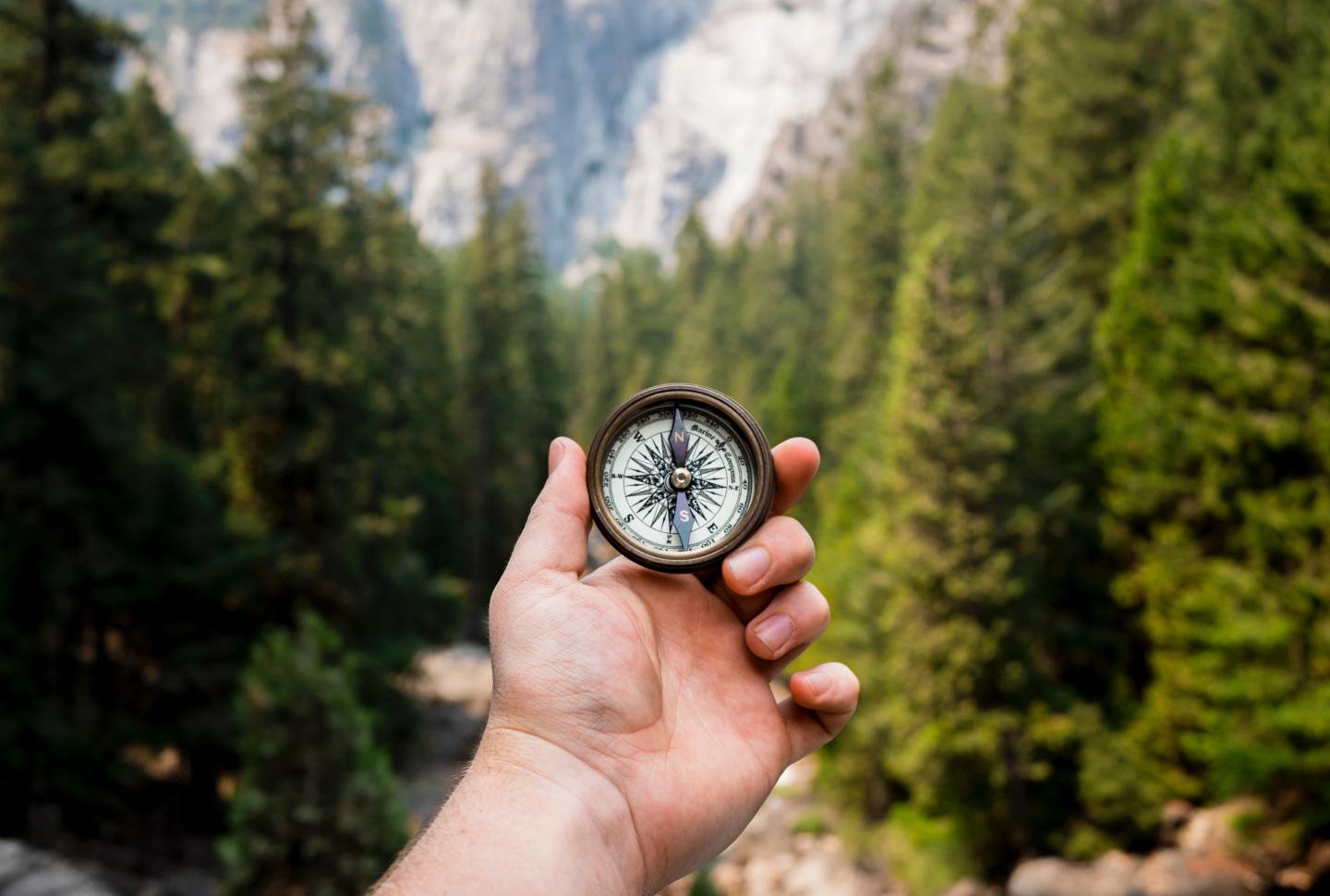 Image of a compass in a persons hand while standing in a forest.