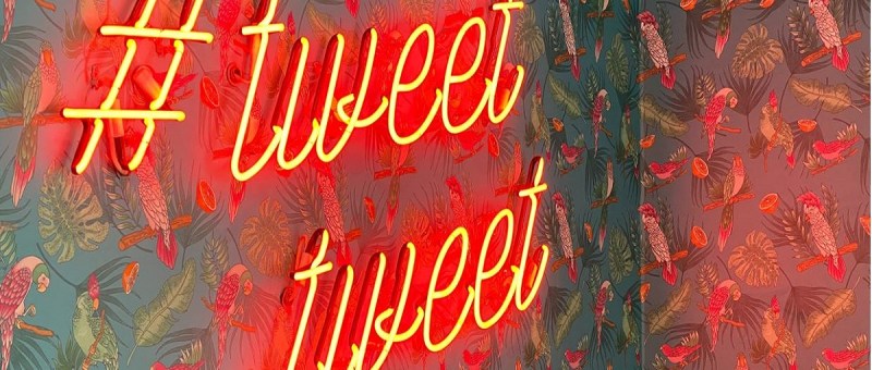 Image of a neon sign on a wall saying tweet tweet